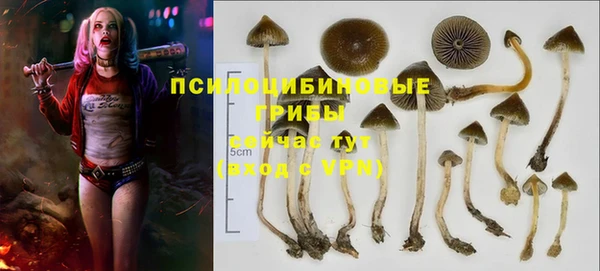 марки lsd Белоозёрский