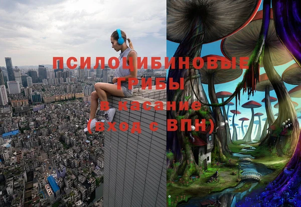 МДМА Белокуриха