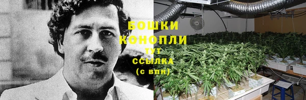 эйфоретик Беломорск