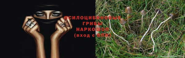 эйфоретик Беломорск