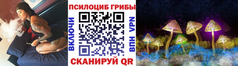 закладка  Кушва  Псилоцибиновые грибы Psilocybe 